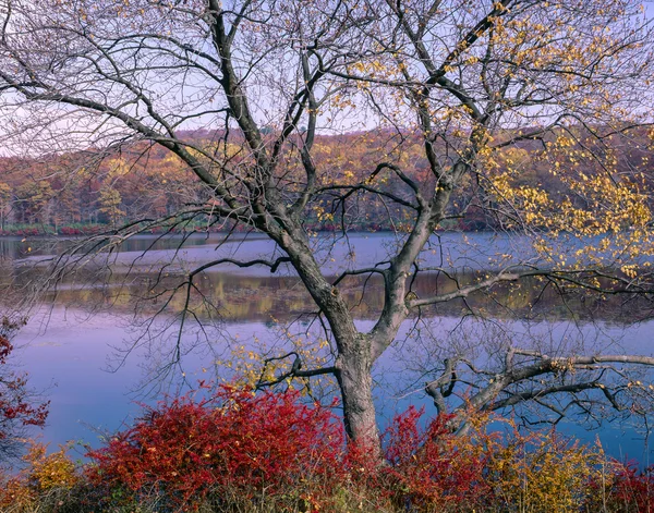 Harriman State Park no outono — Fotografia de Stock