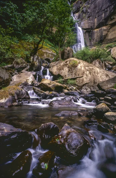 Waterfall Silver Falls — Stock Photo, Image