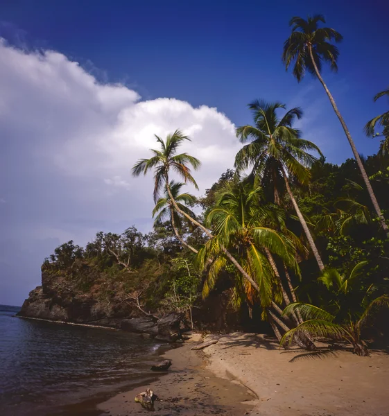 Stock image Cayos Cochinos, Honduras