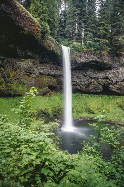 Silver Falls waterfall — Stock Photo, Image