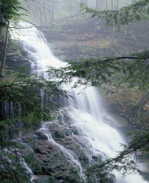 Rickett 's Glen State Park Cachoeira — Fotografia de Stock