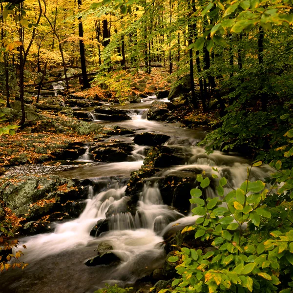 Осень на севере штата Нью-Йорк — стоковое фото