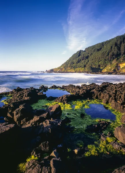 Oregon partjainál és a partvonal — Stock Fotó