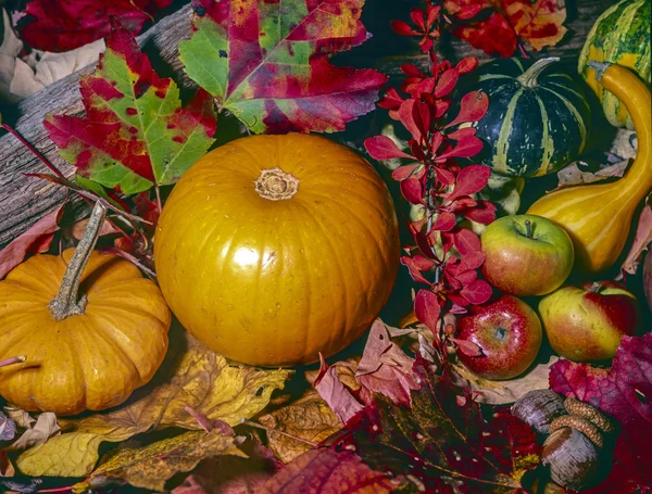 Bodegón de otoño —  Fotos de Stock