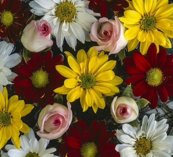 Arrangement de fleurs — Photo