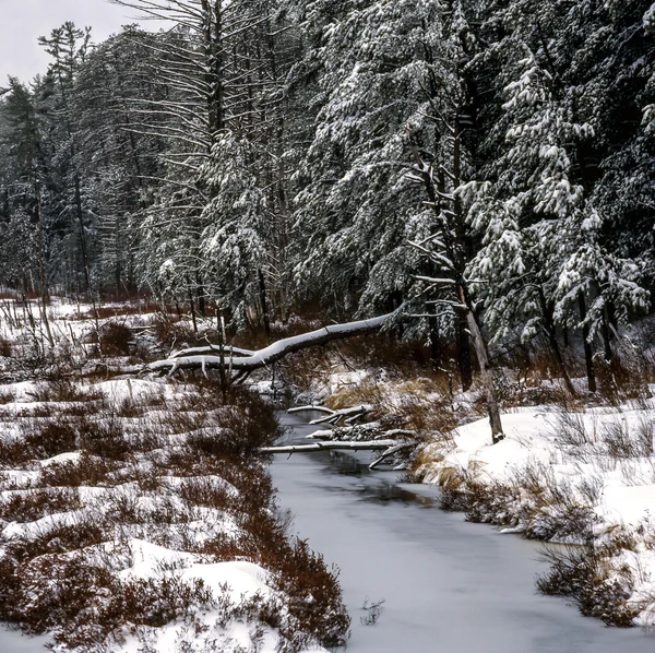 New Hampshire vista White Mountains inverno — Foto Stock