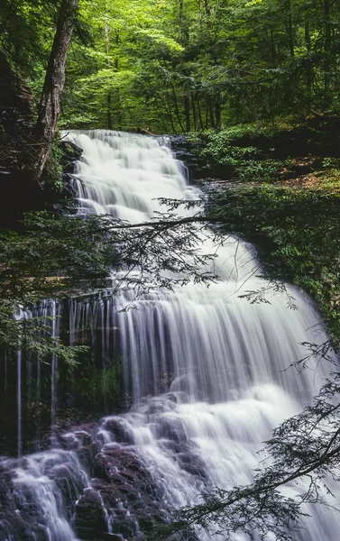 Wasserfall, Ganoga-Wasserfälle — Stockfoto