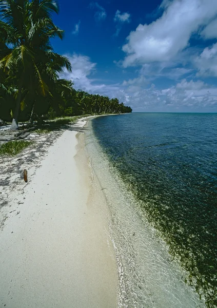 Пляж на рифе маяка — стоковое фото