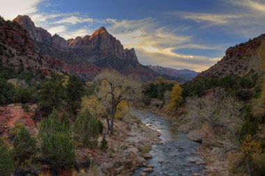 Zion national park