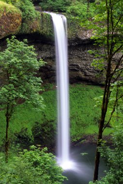 Oregon Waterfall clipart