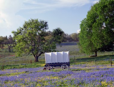 Covered wagon clipart