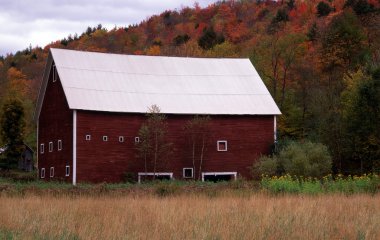 Red Barn clipart