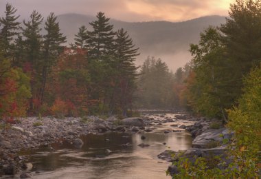 Swift River at dawn clipart