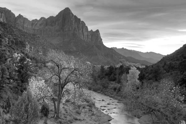 stock image Zion Canyon