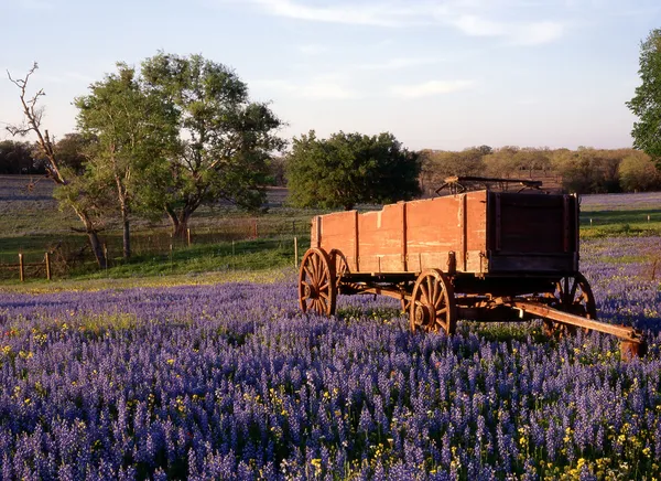 Hügelland, Texas — Stockfoto