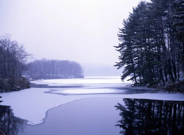 Frossen sø i skov, vinter nordpå New York - Stock-foto