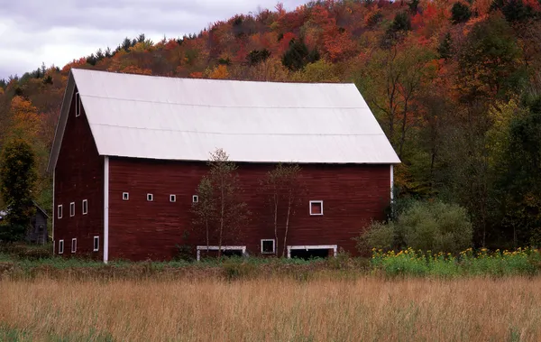 stock image Red Barn