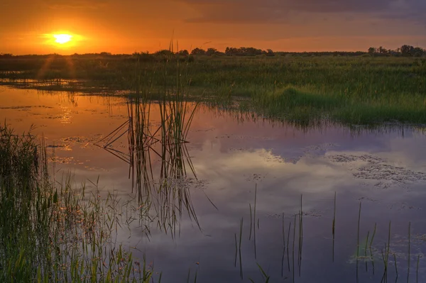 Everglades i solnedgången i södra florida — Stockfoto