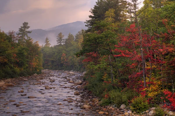 stock image Swift River at dawn