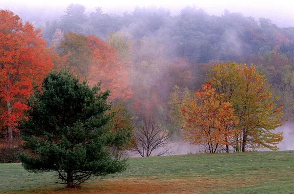 Vermont Outono — Fotografia de Stock