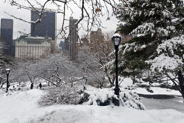 冬季的中央公园 — 图库照片