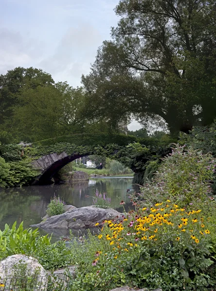 Central Park — Foto Stock