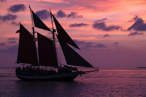 stock image Sailing boat in the sunset