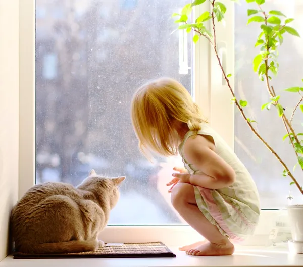 Девушка и кошка смотрят в окно — стоковое фото