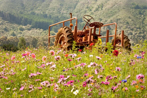 Rezavý traktor v poli wildflower — Stock fotografie
