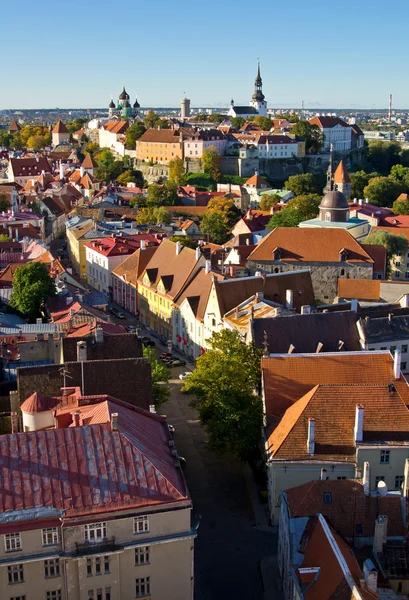 Tallinn antigo — Fotografia de Stock