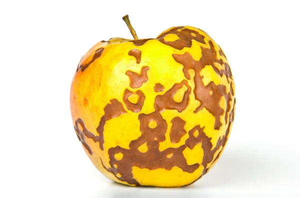Špatné jablko — Stock fotografie