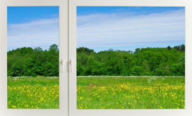 Meadow behind the window clipart