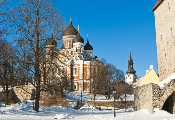 St.Alexander Něvské katedrály — Stock fotografie