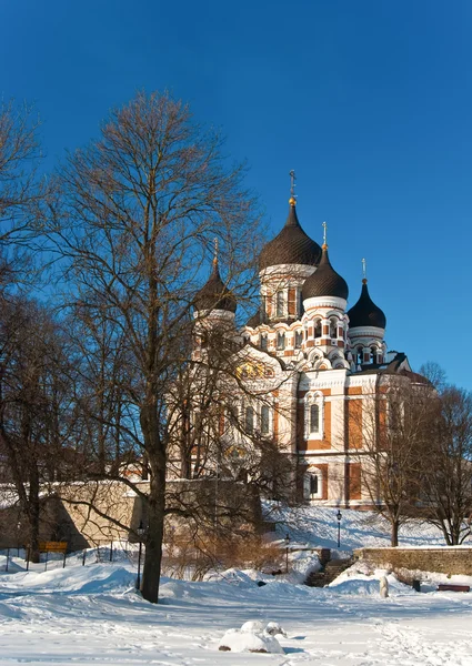 St.alexander ネフスキー大聖堂 — ストック写真