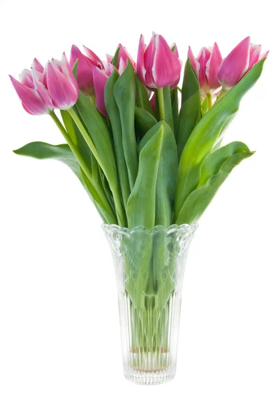 Tulipanes en florero —  Fotos de Stock