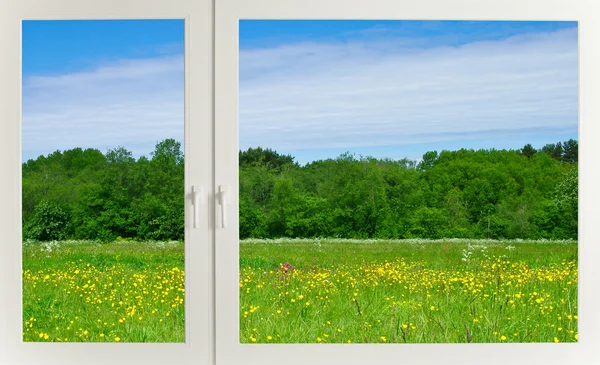 stock image Meadow behind the window