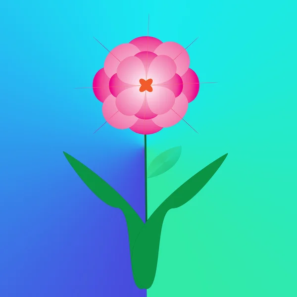 Fiore di cornice — Foto Stock