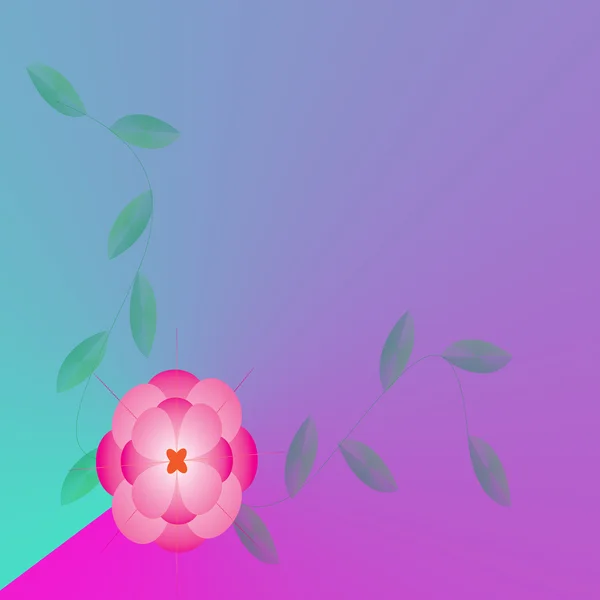 Fleur de cadre — Photo