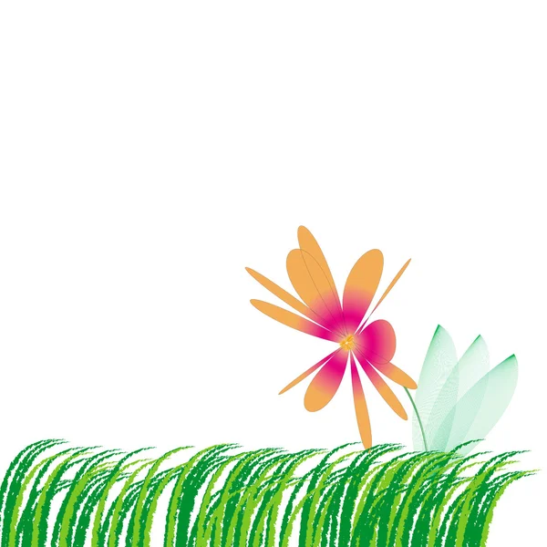 Fiore sull'erba — Foto Stock