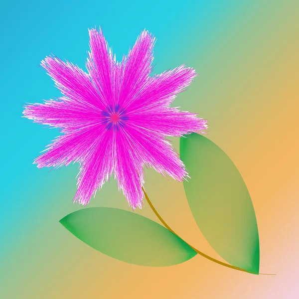 Λουλούδι του πλαισίου — Φωτογραφία Αρχείου