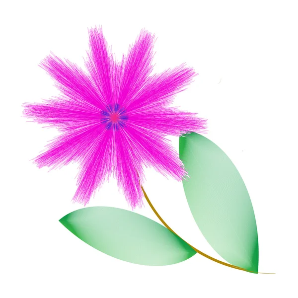 Blume des Rahmens — Stockfoto