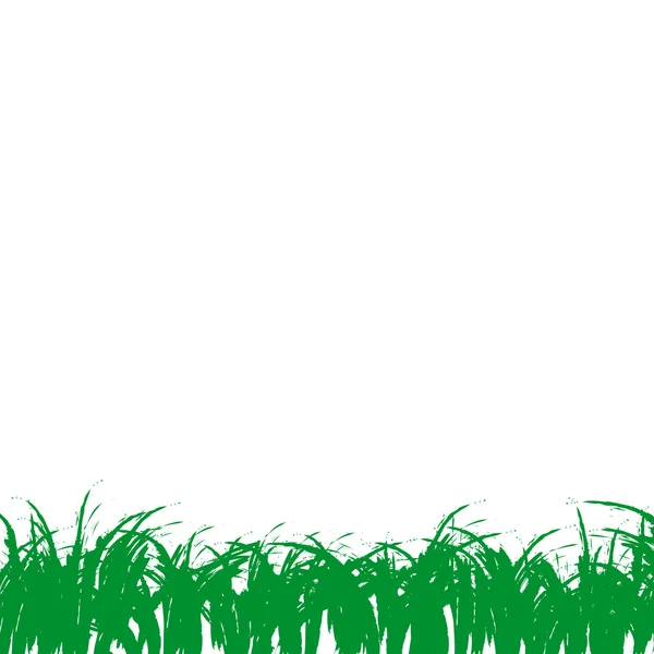 Grass of frame — Stock Photo, Image