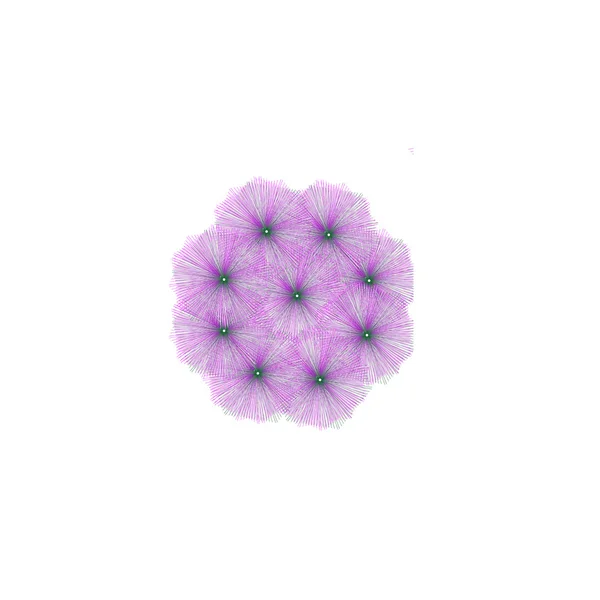 ดอกไม้ของกรอบ — ภาพถ่ายสต็อก