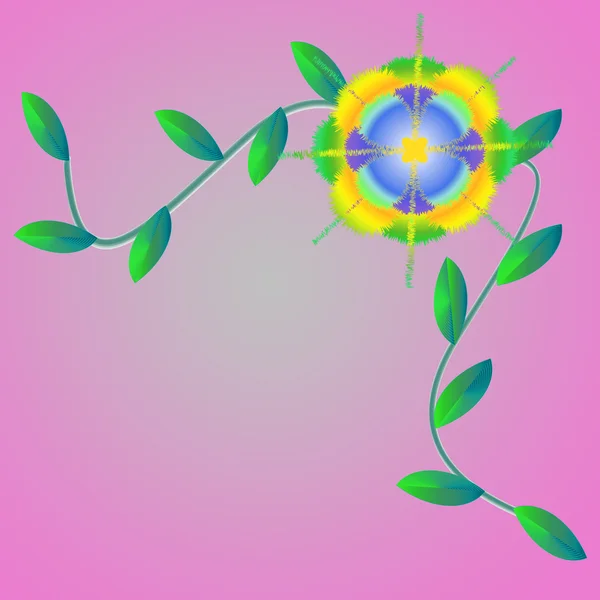 Квітка рамки на кольоровому фоні — стокове фото