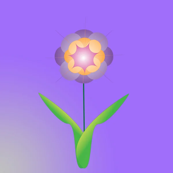 Λουλούδι πλαισίου σε έγχρωμο φόντο — Φωτογραφία Αρχείου