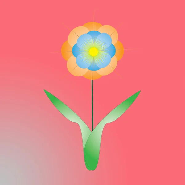 Flor de quadro no fundo de cor — Fotografia de Stock