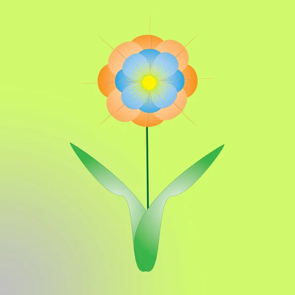 Fiore di cornice su sfondo a colori — Foto Stock