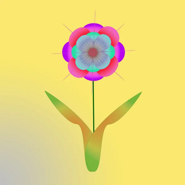 Flor del marco sobre fondo de color —  Fotos de Stock