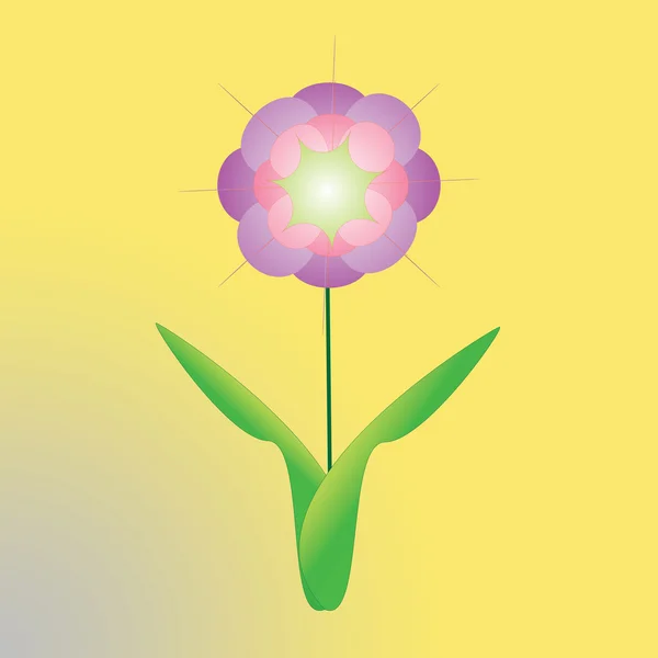 フレームの背景の色の花 — ストック写真