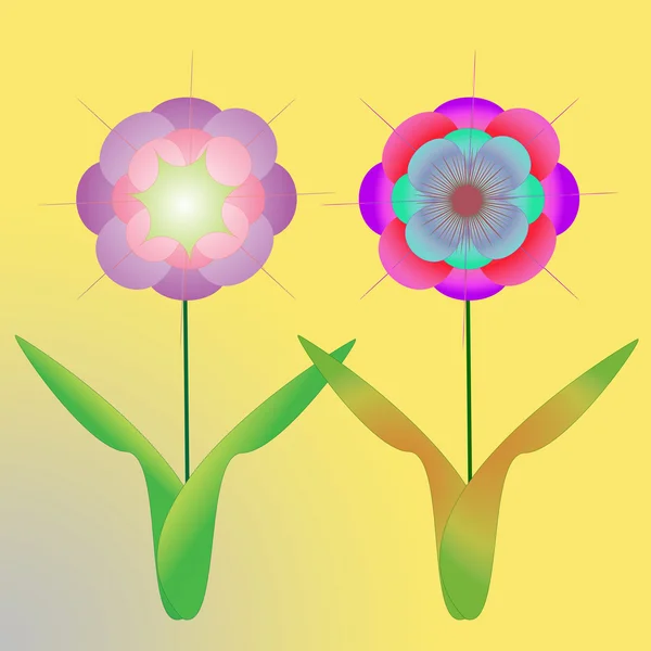 Keret, háttér szín virág — Stock Fotó